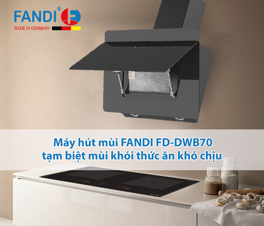 máy hút mùi Fandi FD-DWB70